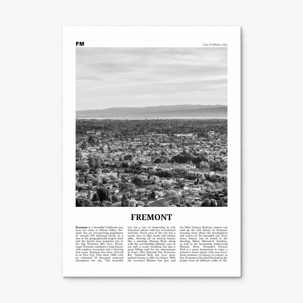 Fremont Newspaper Poster, print only (unframed)