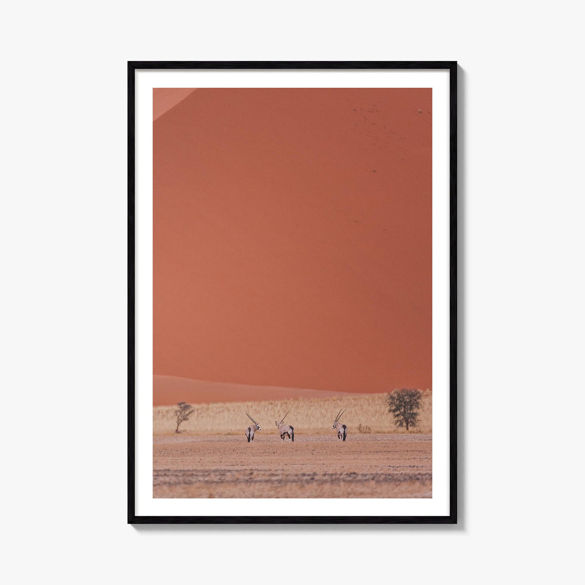 Gazella colorful photo poster – vertical wall art, unframed print shown in interior mockup