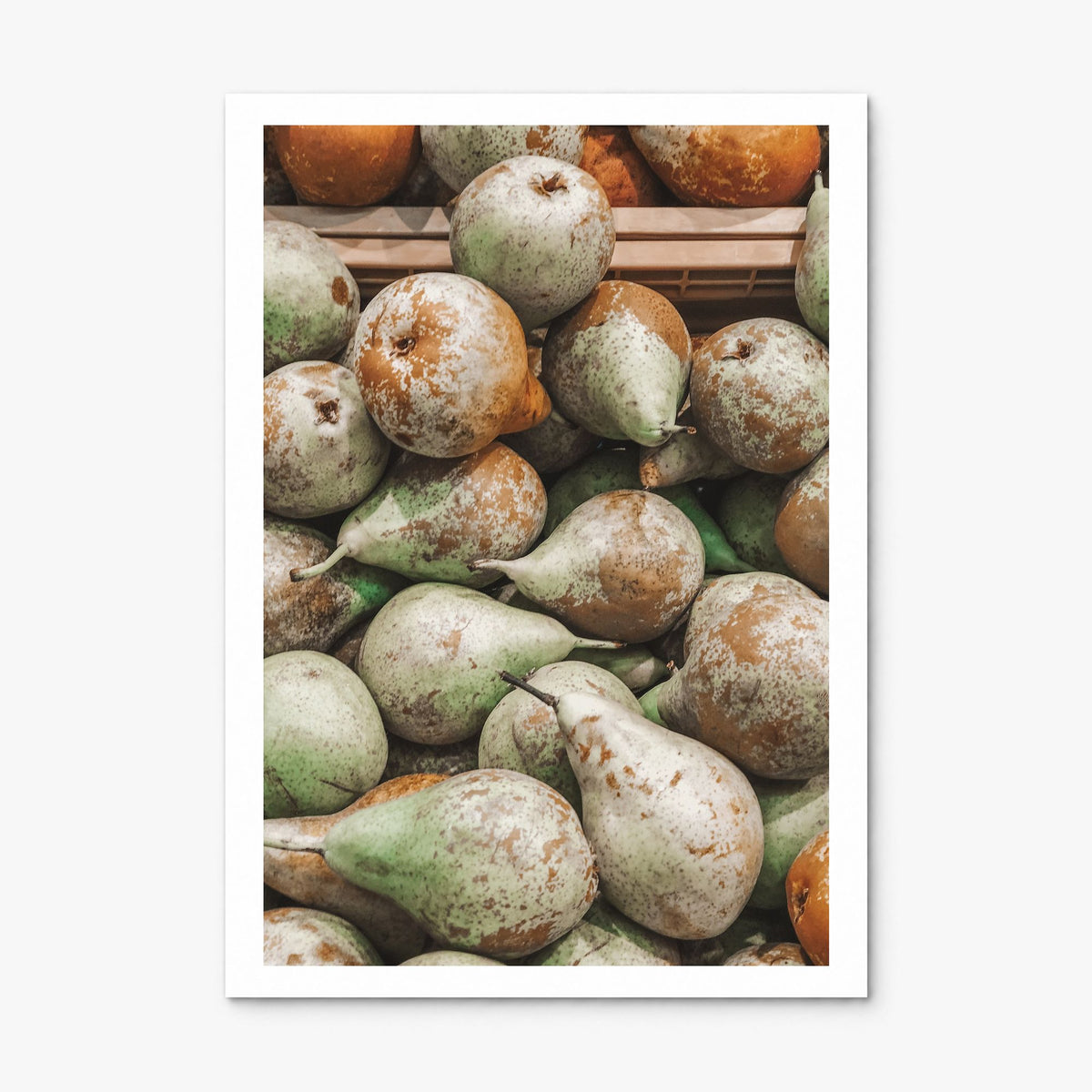 Green Pears Photo Poster, print only (unframed), white border