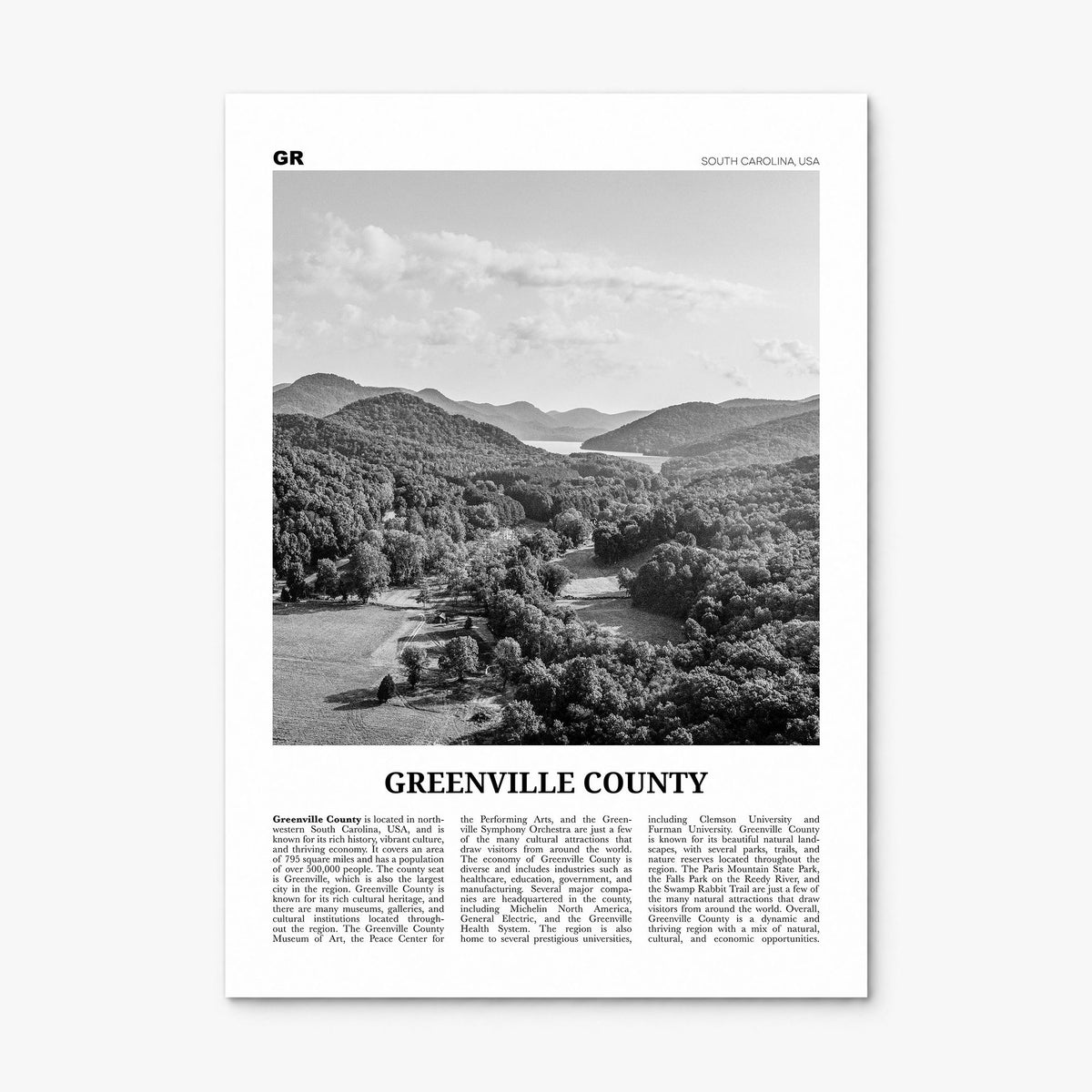 Greenville County Newspaper Poster, print only (unframed)