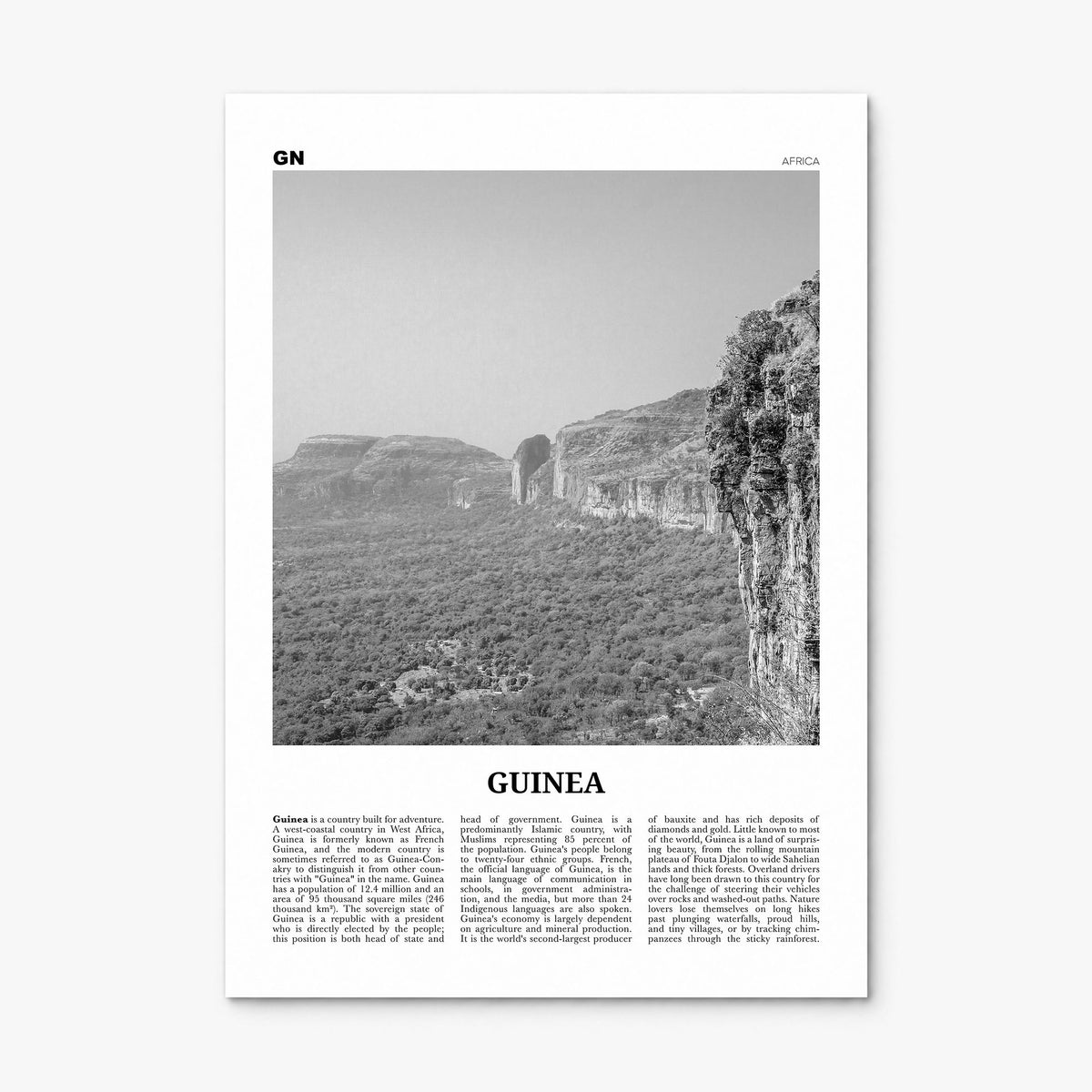 Guinea Newspaper Poster, print only (unframed)