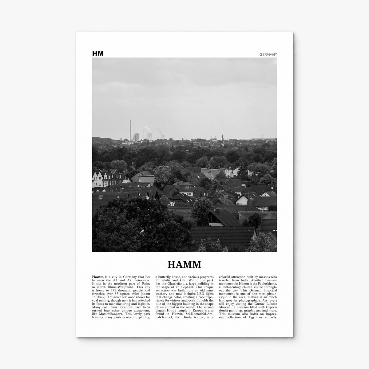 Hamm Newspaper Poster, print only (unframed)