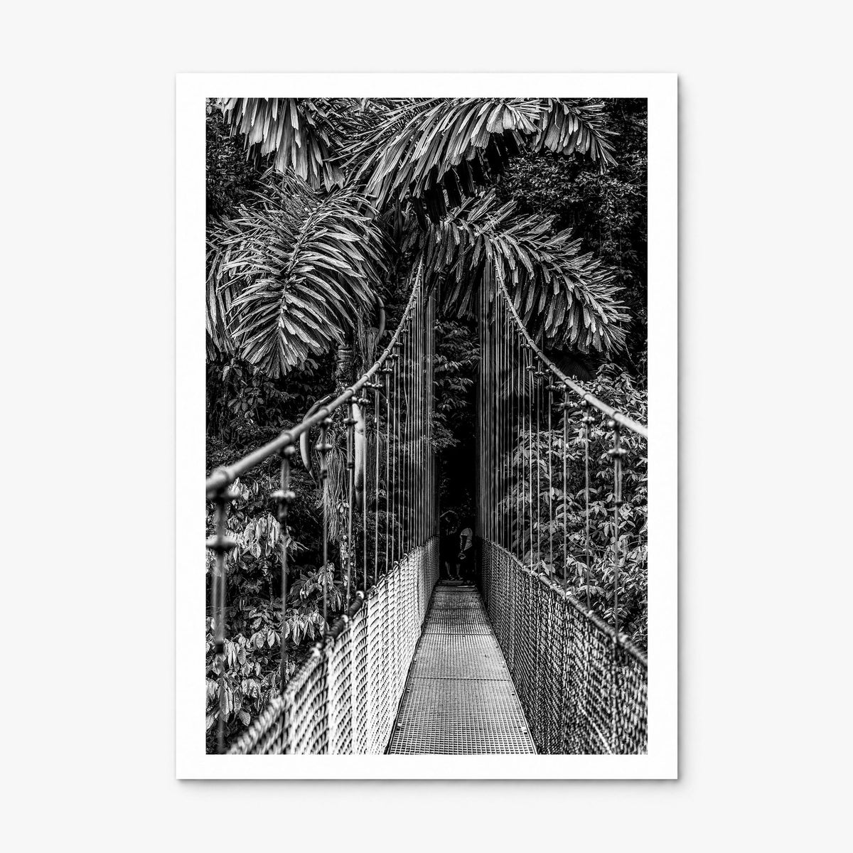 Hanging Bridge Photo Poster, print only (unframed), white border