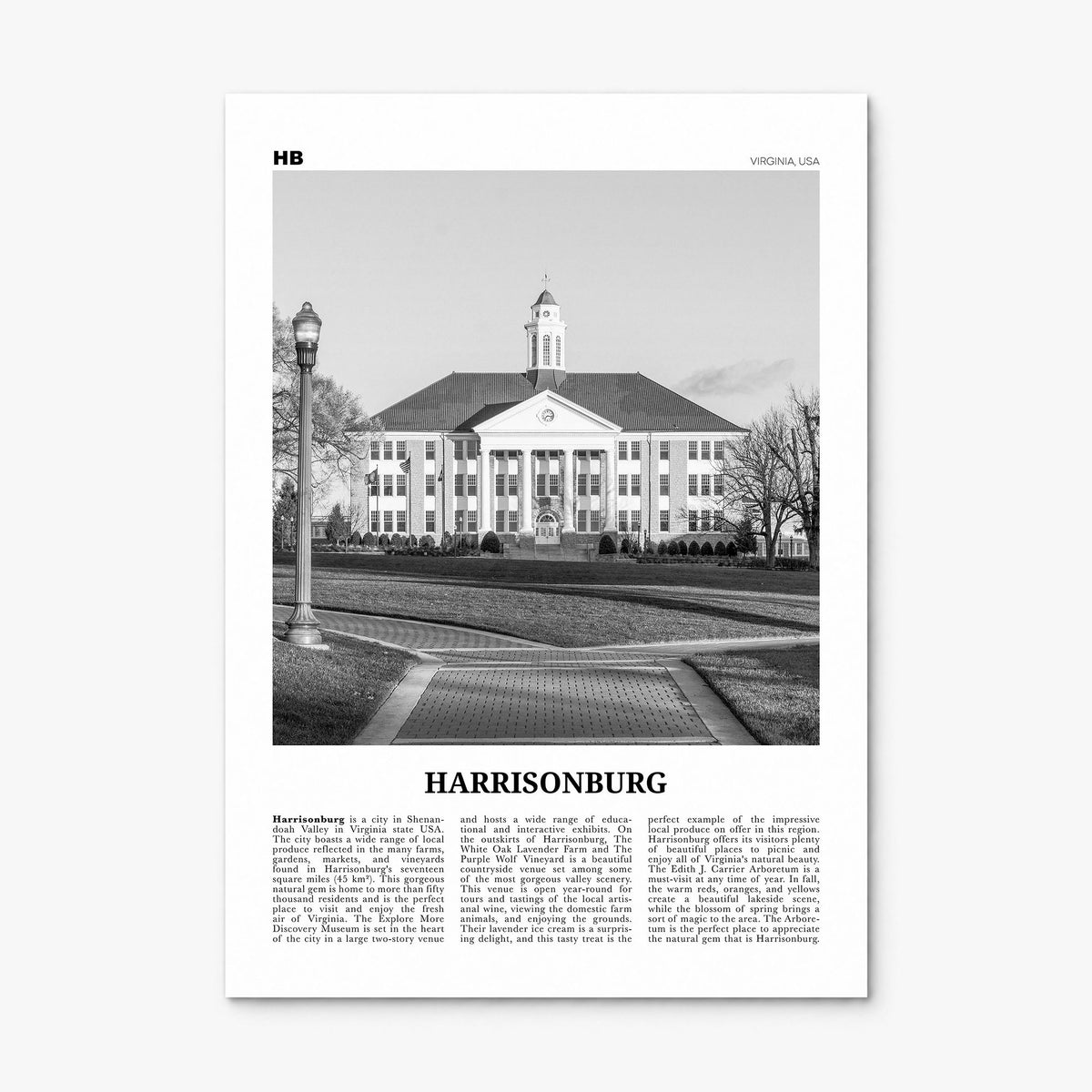 Harrisonburg Newspaper Poster, print only (unframed)