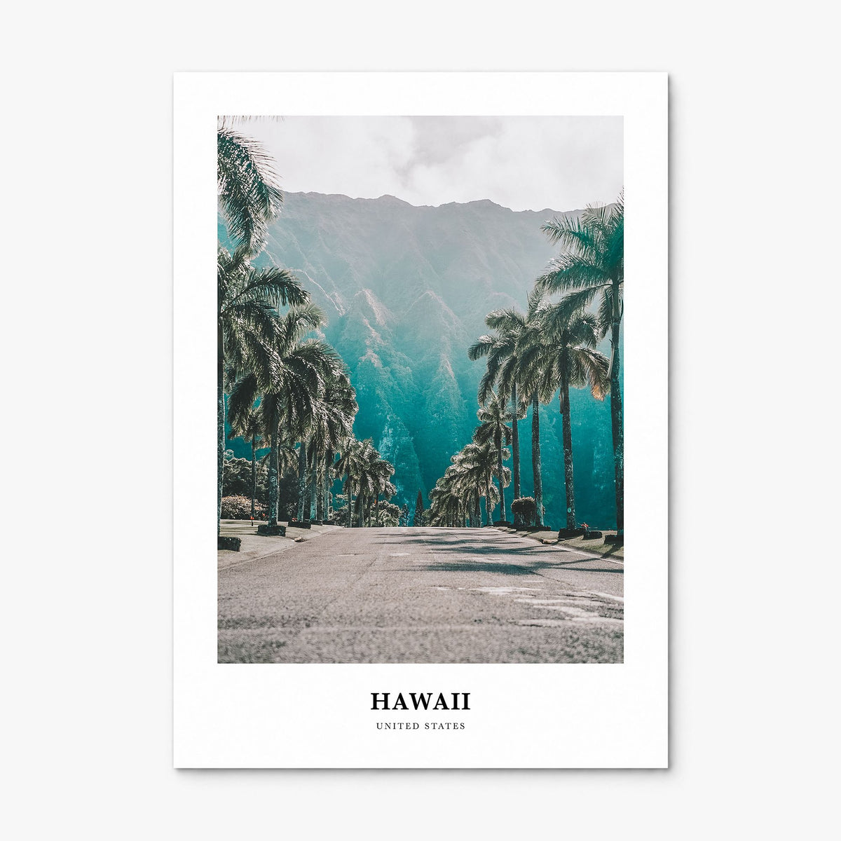 Hawaii Classic No 1 Poster, print only (unframed)