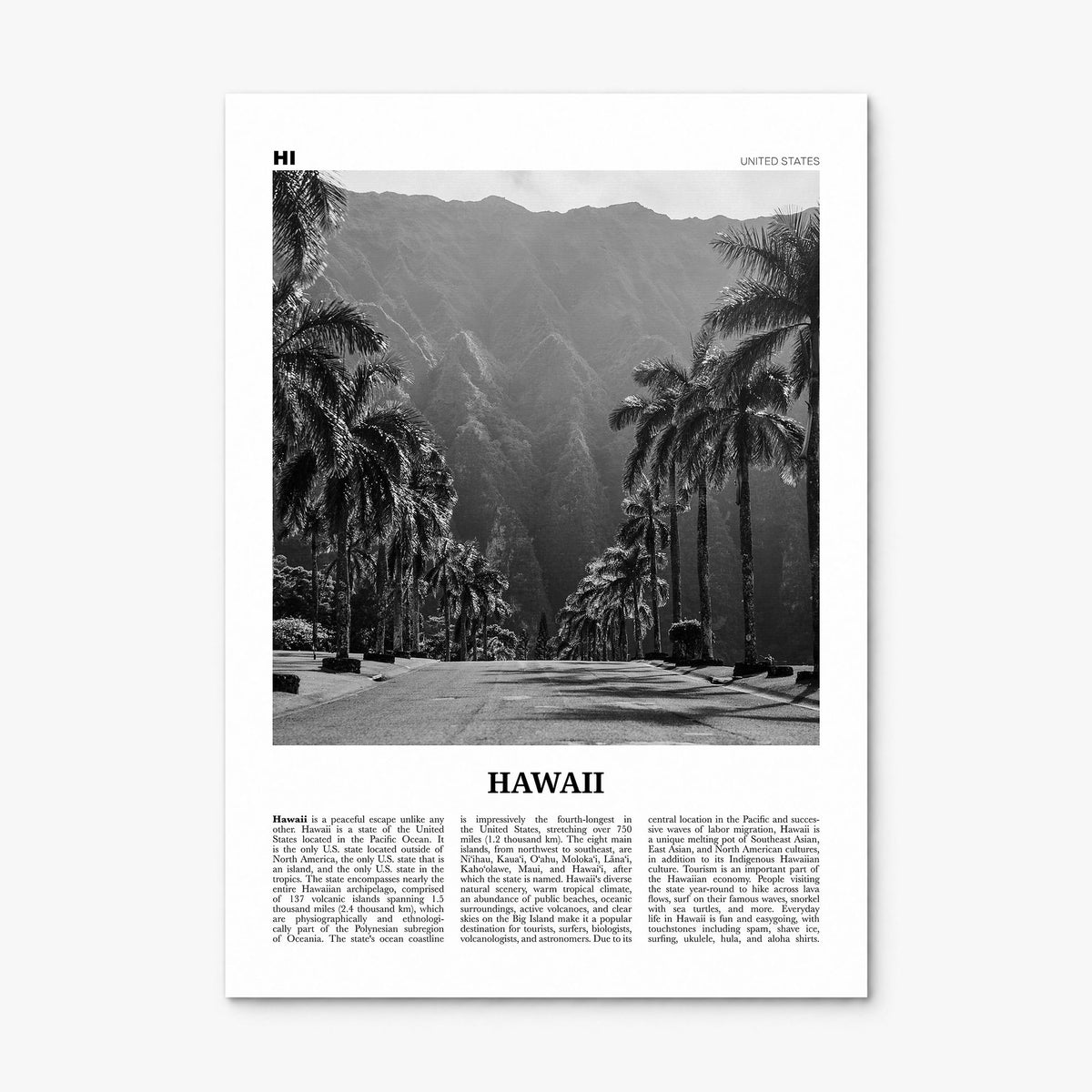 Hawaii Newspaper No 2 Poster, print only (unframed)
