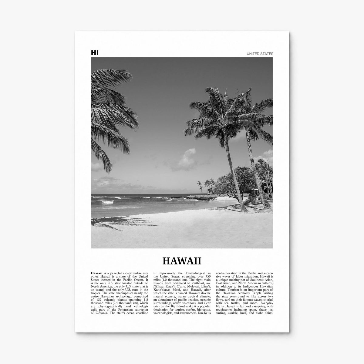 Hawaii Newspaper No 4 Poster, print only (unframed)