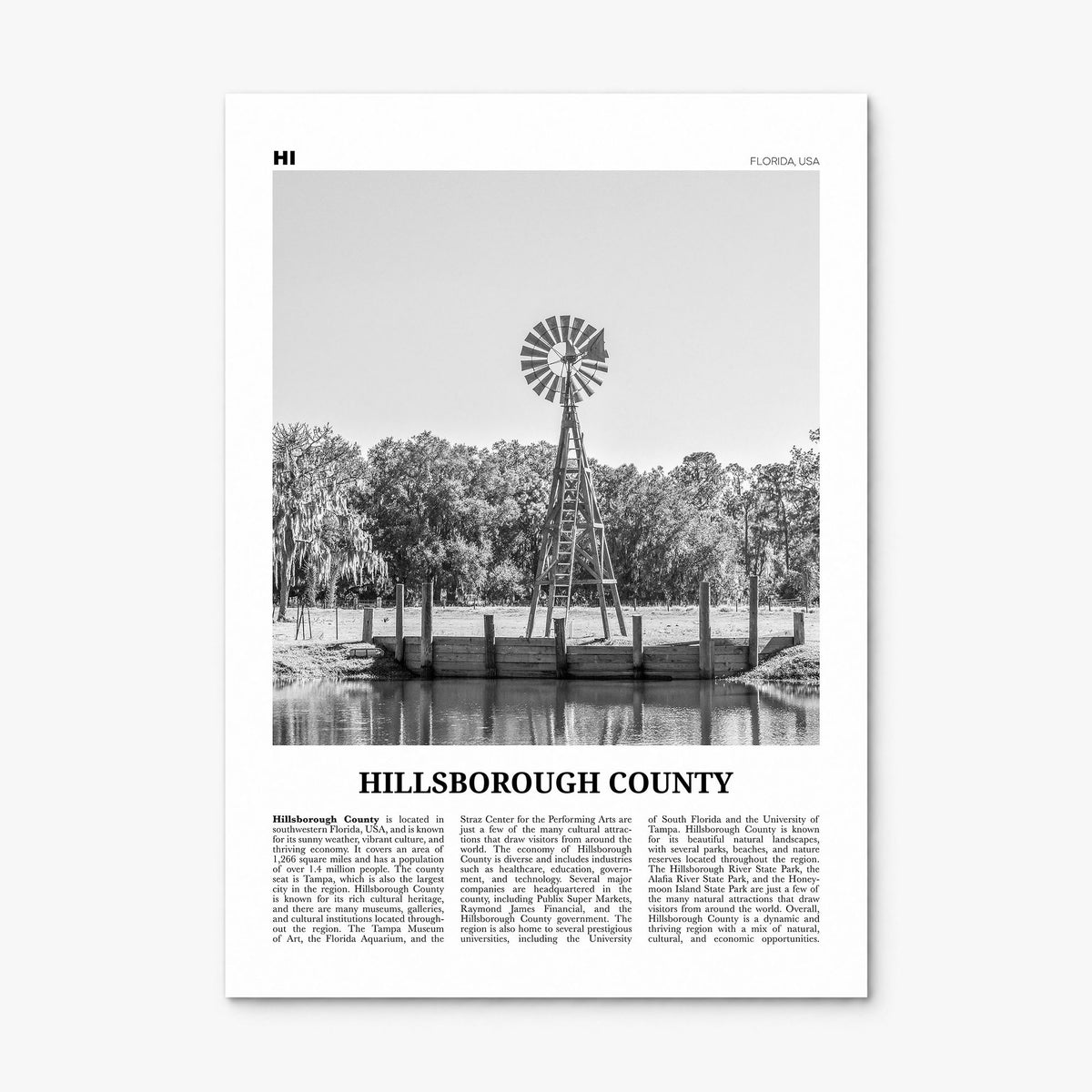 Hillsborough County Newspaper Poster, print only (unframed)