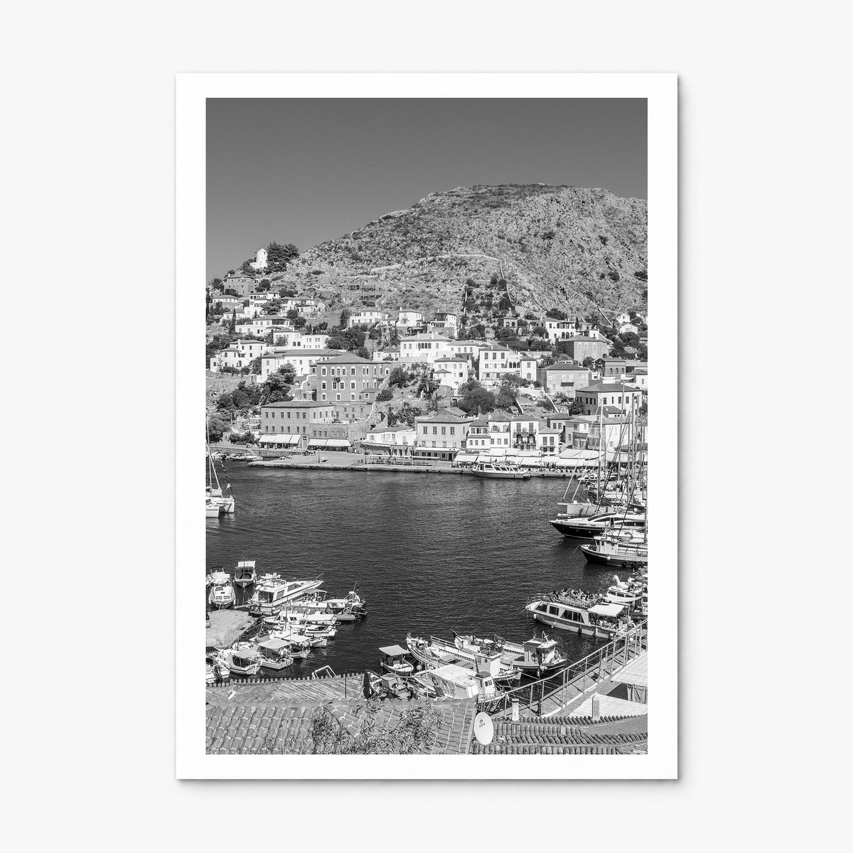 Hydra Photo Poster, print only (unframed), white border