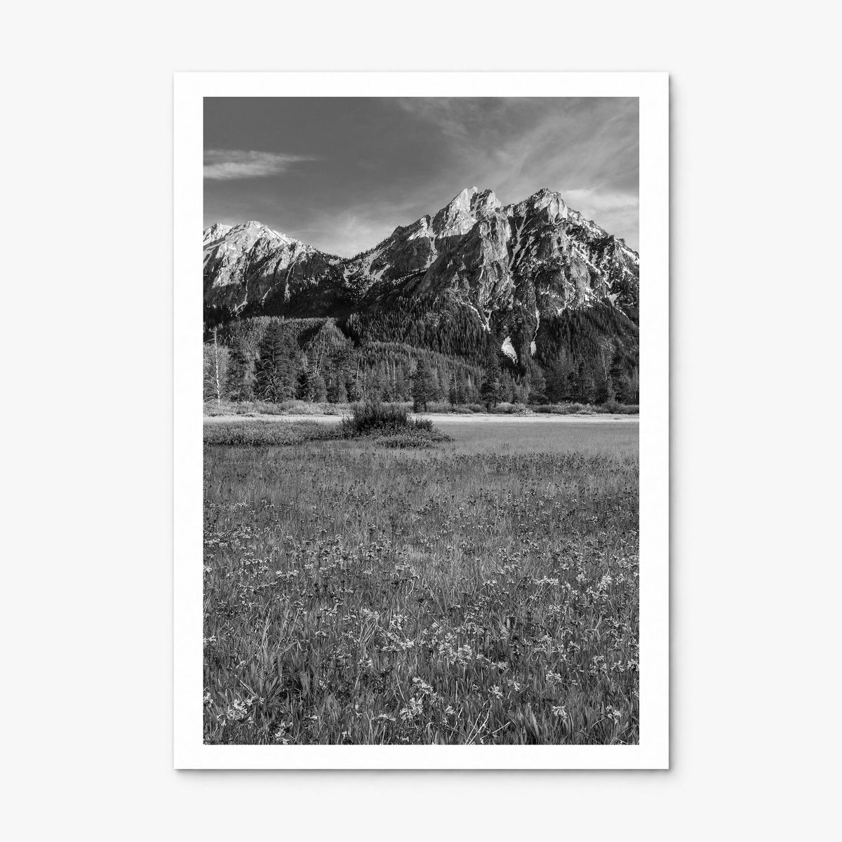 Idaho Photo Poster, print only (unframed), white border
