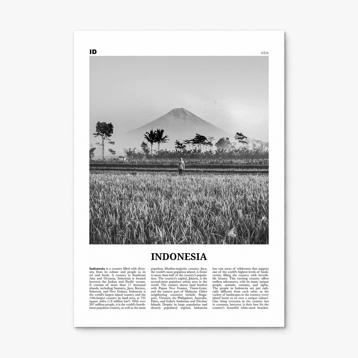 Indonesia Newspaper No 1 Poster, print only (unframed)
