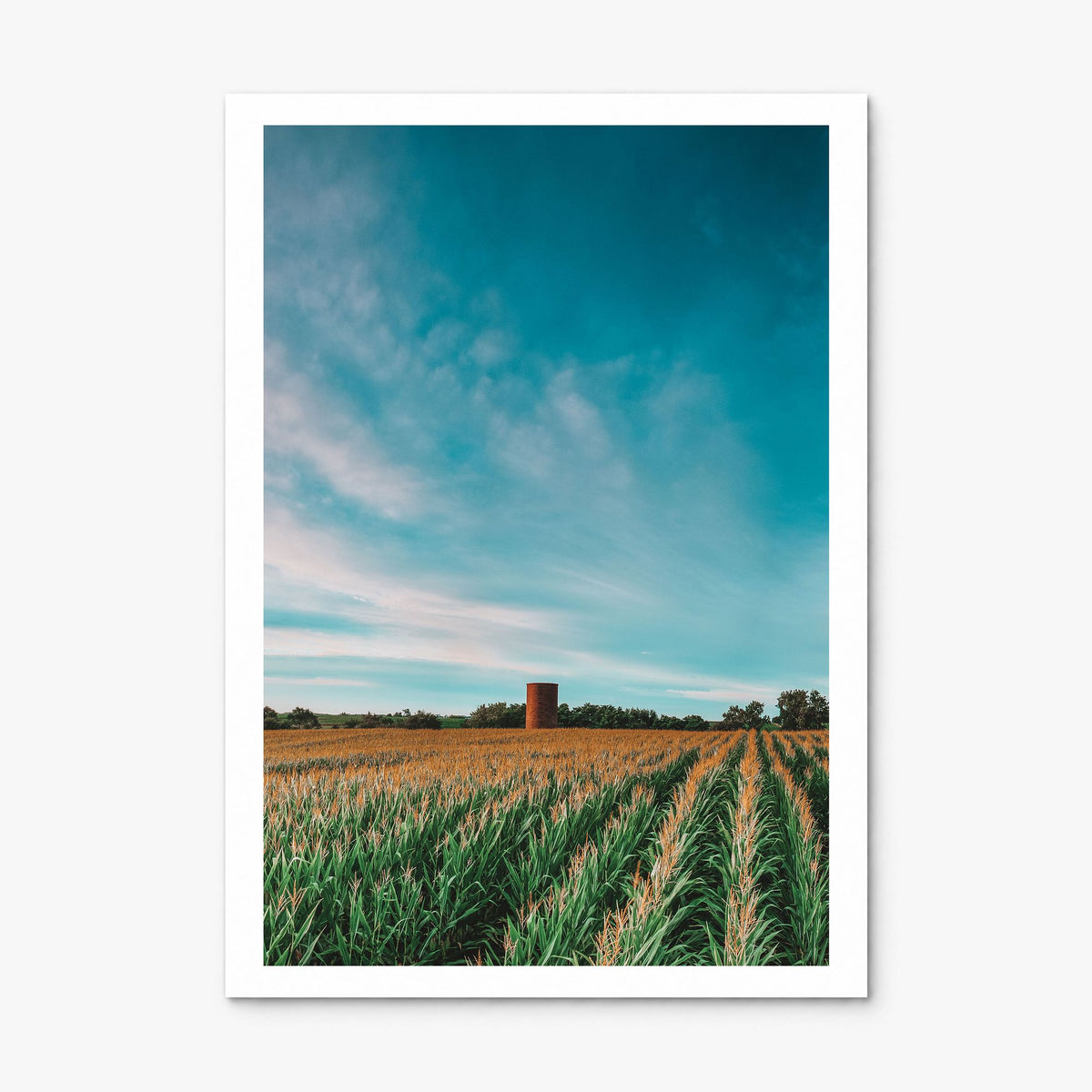 Iowa Photo Poster, print only (unframed), white border