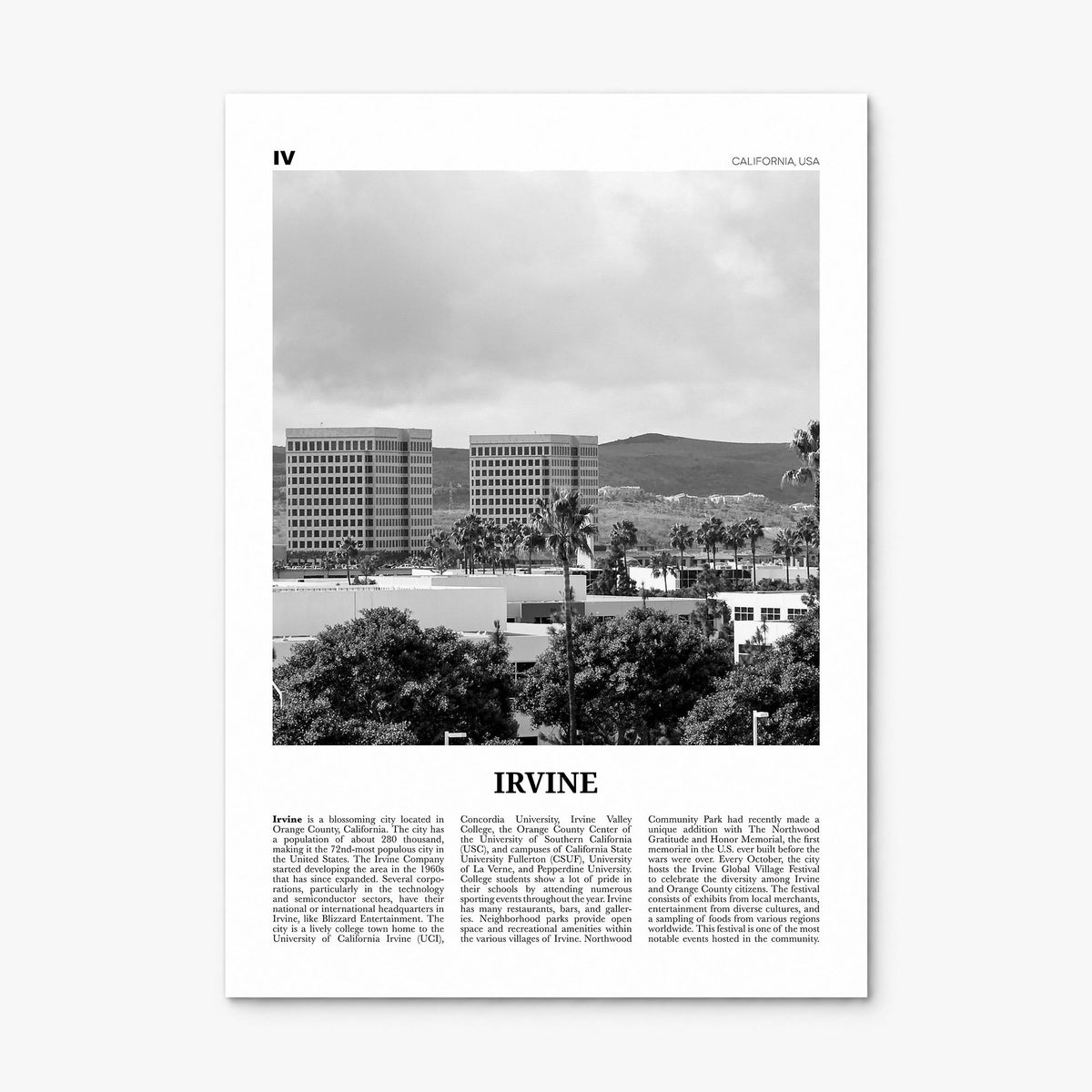 Irvine Newspaper No 2 Poster, print only (unframed)
