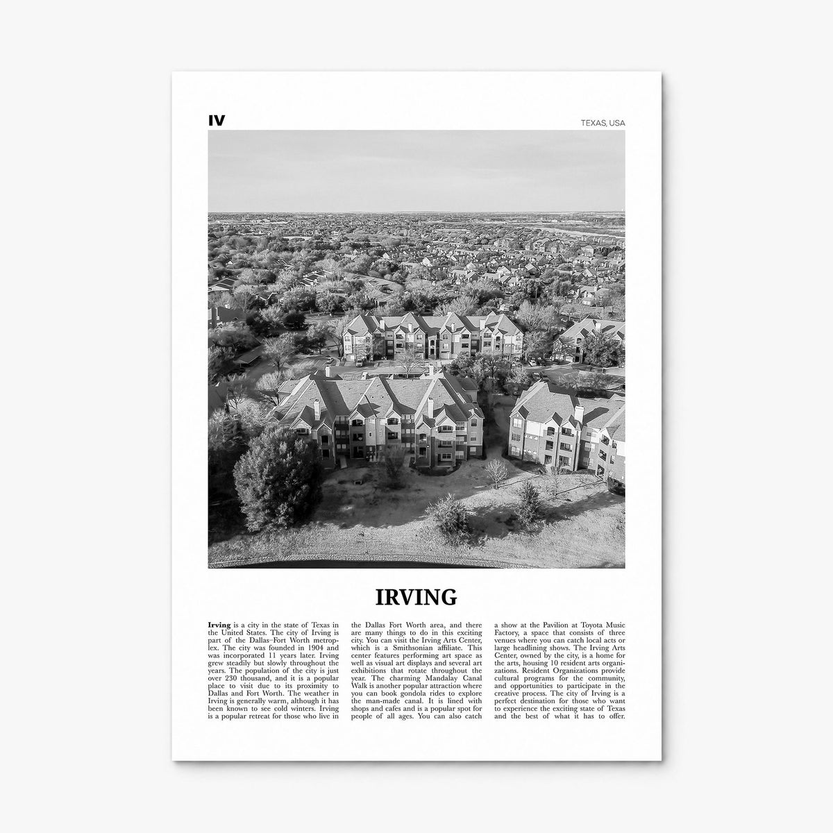 Irving Newspaper Poster, print only (unframed)