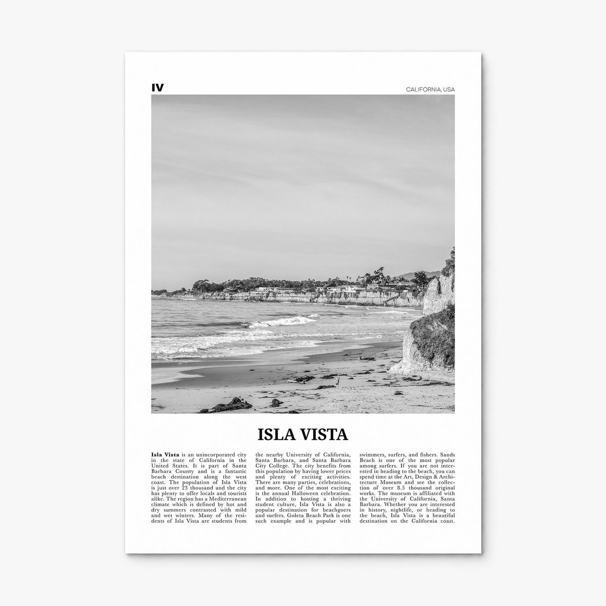 Isla Vista Newspaper Poster, print only (unframed)