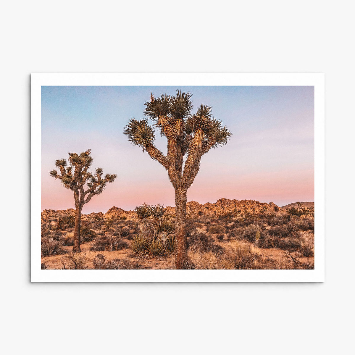 Joshua Tree National Park Photo No 1 Poster, print only (unframed), white border