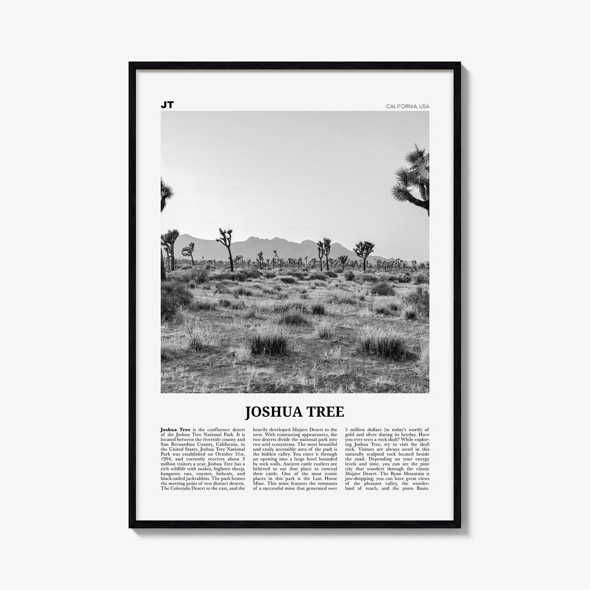 Joshua Tree National Park Newspaper No 1 Poster
