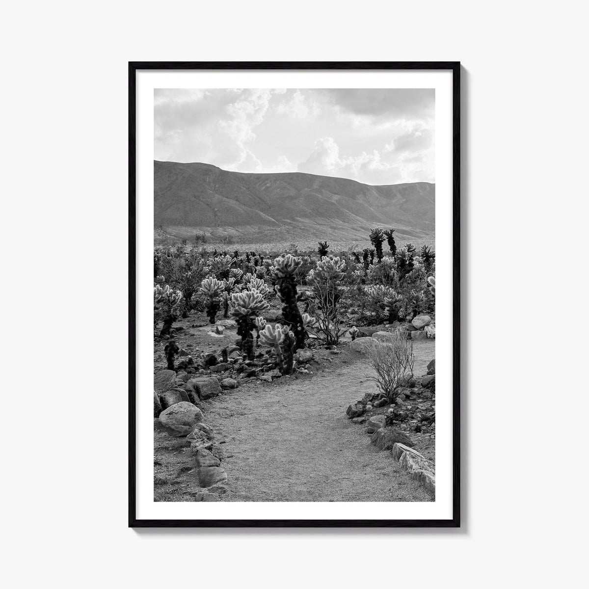Joshua Tree National Park no. 1 black & white photo poster of California, USA – vertical wall art, unframed print shown in in