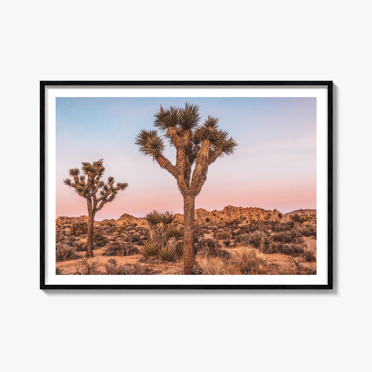 Joshua Tree National Park no. 1 colorful photo poster of California, USA – horizontal wall art, unframed print shown in inter