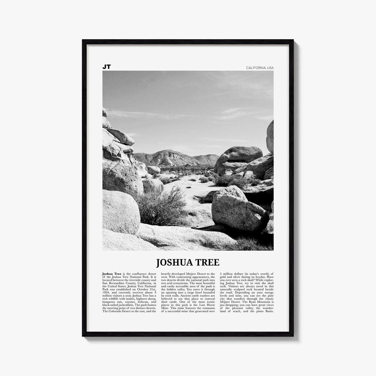 Joshua Tree National Park no. 2 black & white newspaper poster of California, USA – vertical wall art, unframed print shown i