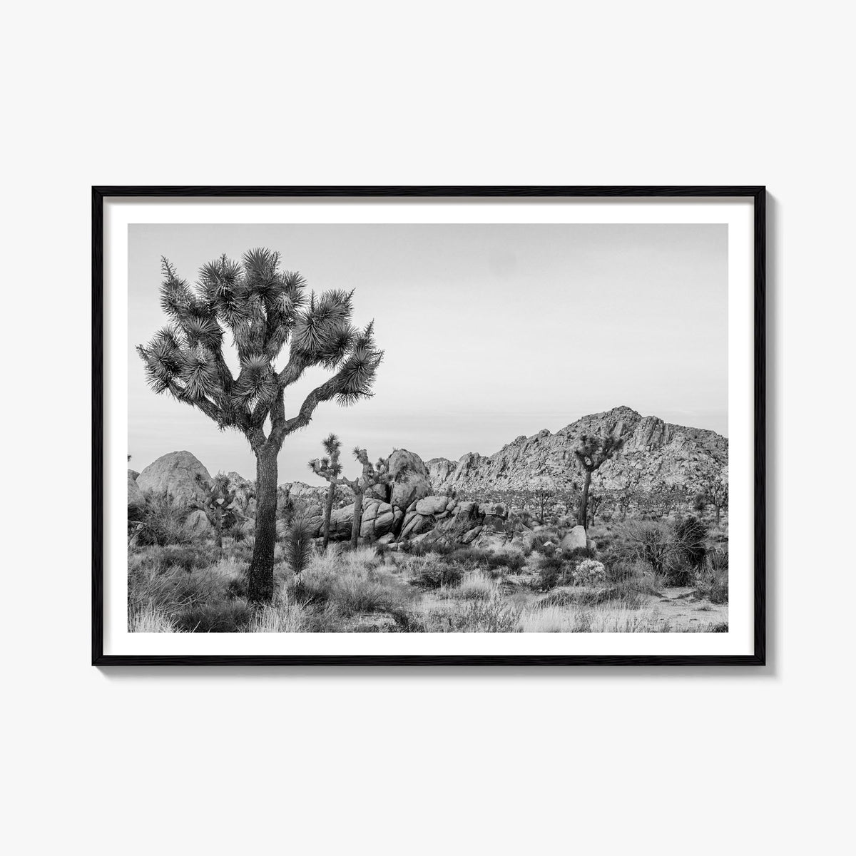 Joshua Tree National Park no. 2 black & white photo poster of California, USA – horizontal wall art, unframed print shown in