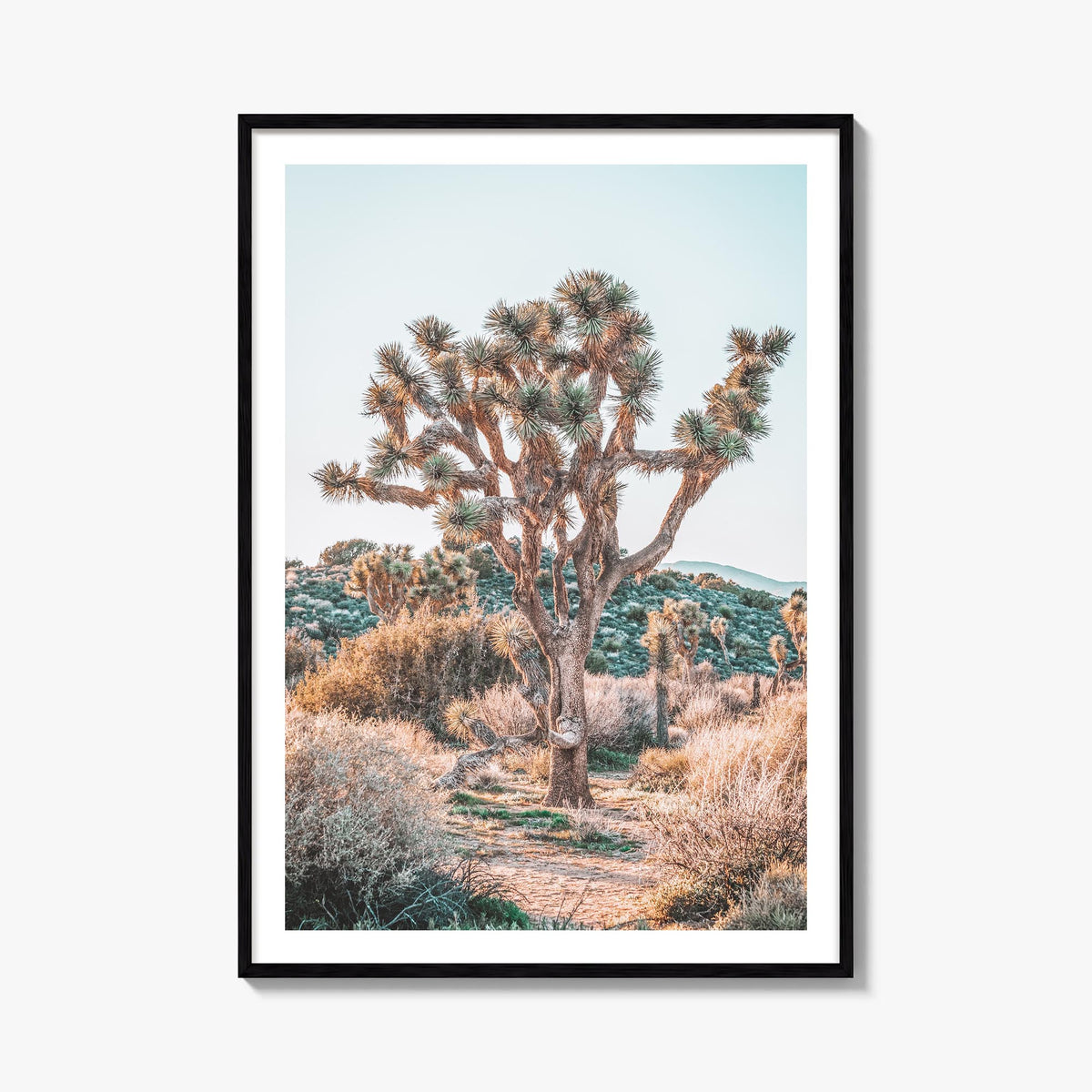 Joshua Tree National Park no. 4 colorful photo poster of California, USA – vertical wall art, unframed print shown in interio