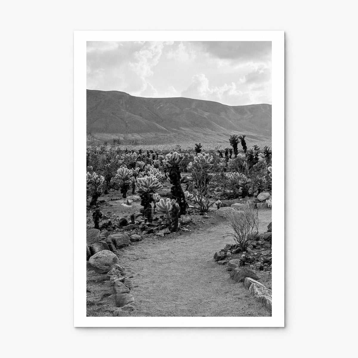 Joshua Tree National Park Photo No 1 Poster, print only (unframed), white border