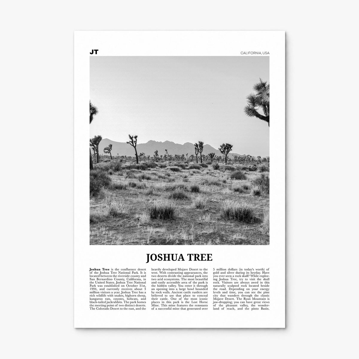 Joshua Tree National Park Newspaper No 1 Poster, print only (unframed)