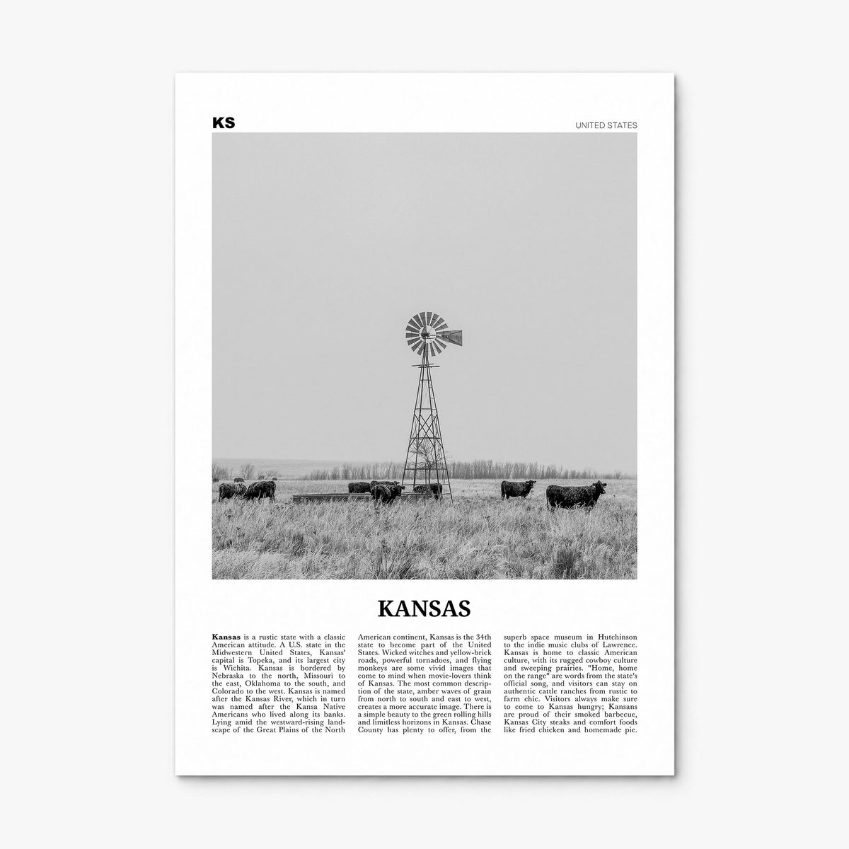 Kansas Newspaper No 1 Poster, print only (unframed)