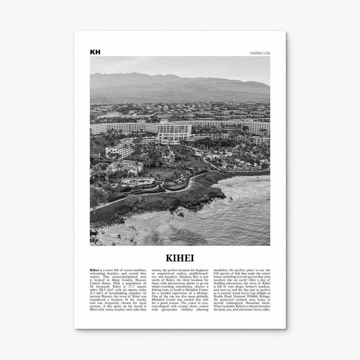 Kihei Newspaper Poster, print only (unframed)