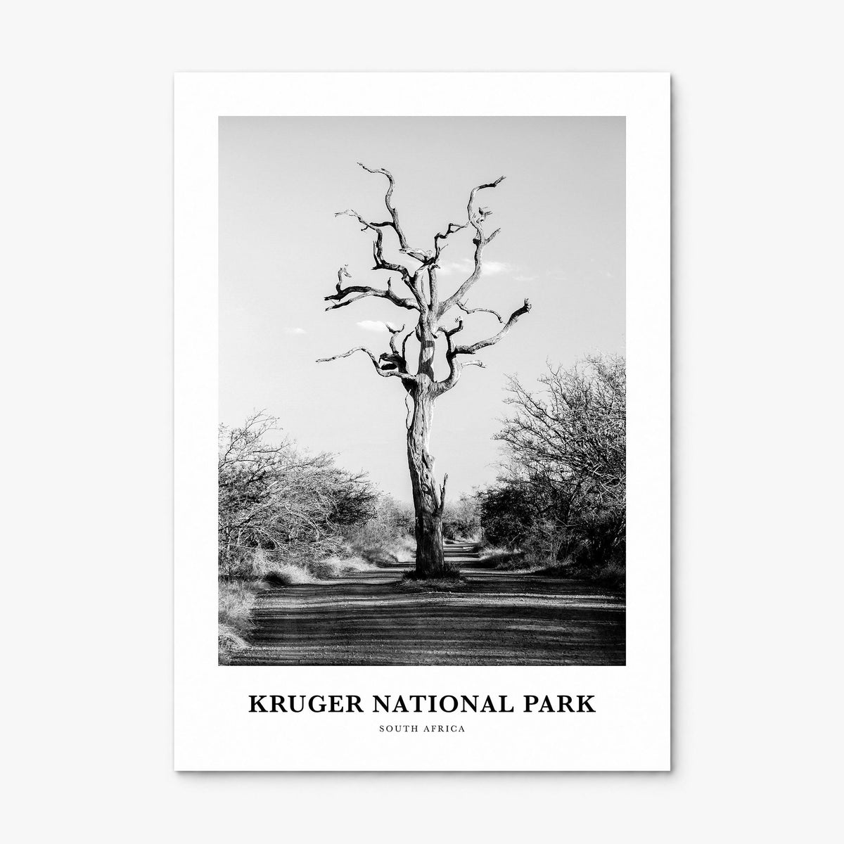 Kruger National Park Classic Poster, print only (unframed)
