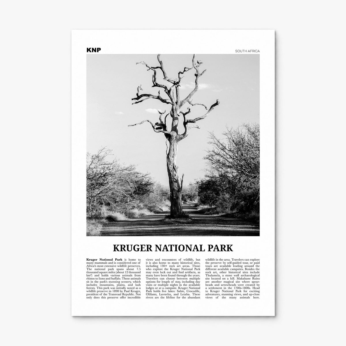 Kruger National Park Newspaper Poster, print only (unframed)