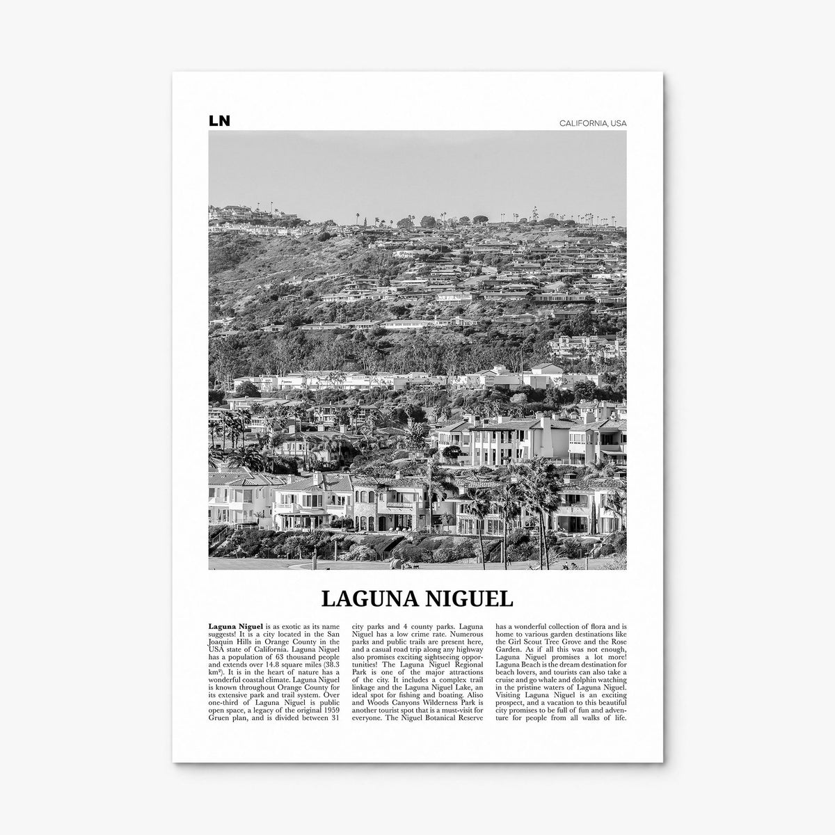 Laguna Niguel Newspaper Poster, print only (unframed)