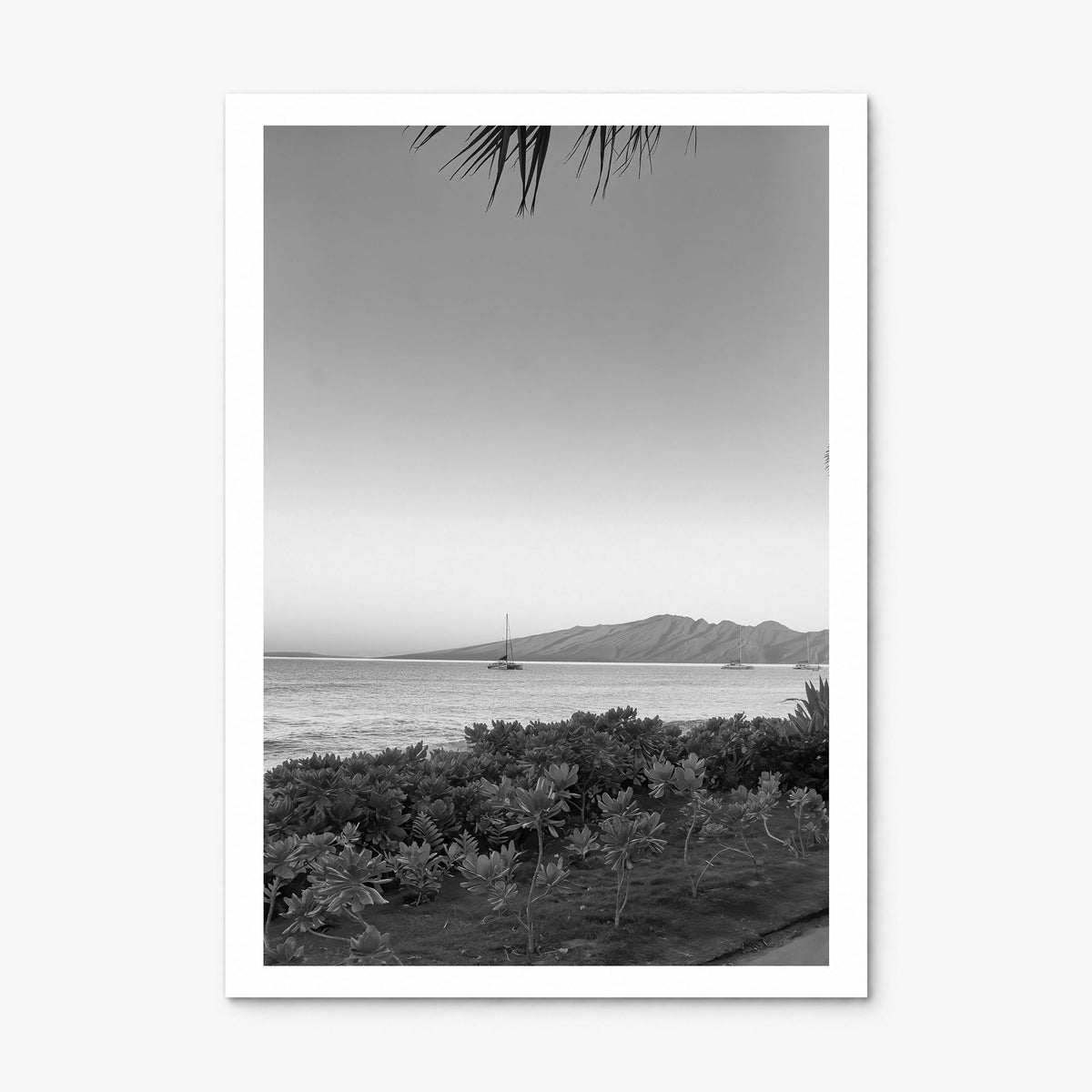 Lahaina Photo Poster, print only (unframed), white border