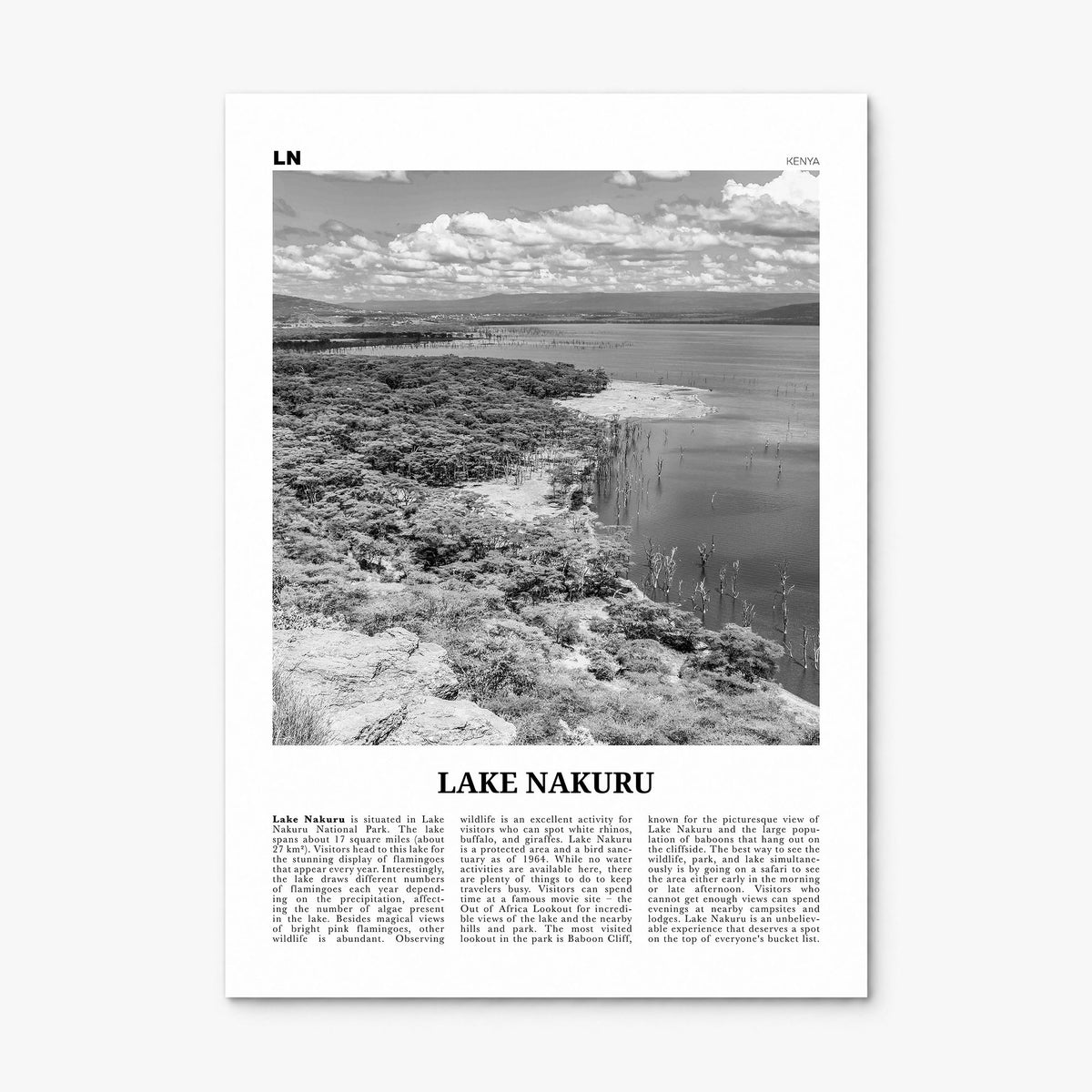 Lake Nakuru Newspaper Poster, print only (unframed)