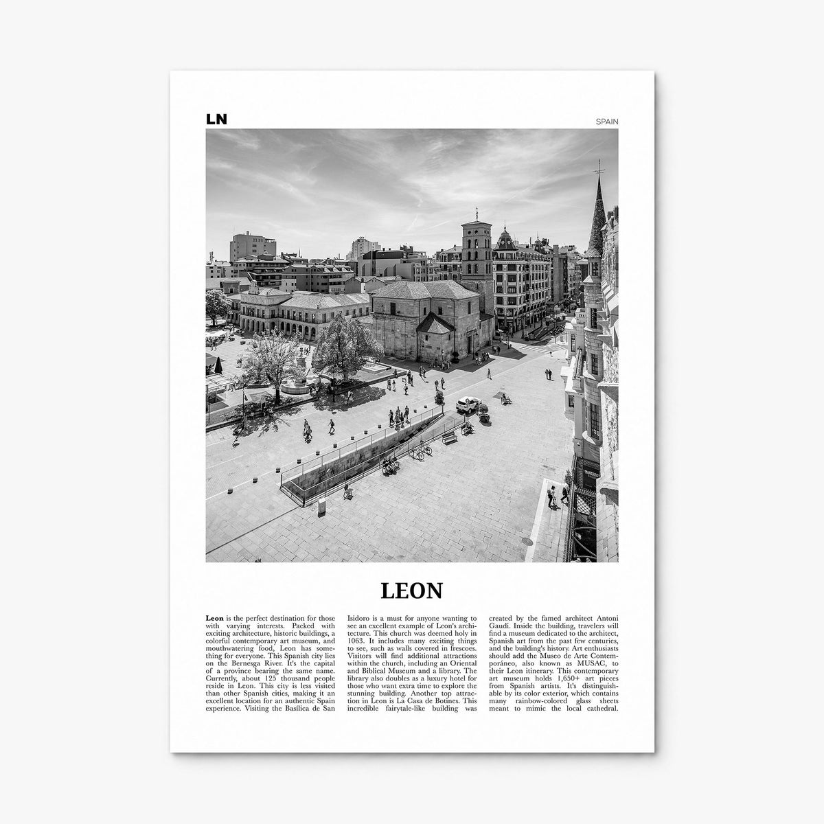 León Newspaper Poster, print only (unframed)