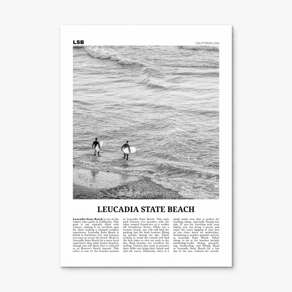 Leucadia State Beach Newspaper Poster, print only (unframed)