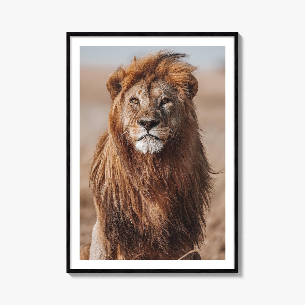 Lion no. 1 colorful photo poster – vertical wall art, unframed print shown in interior mockup