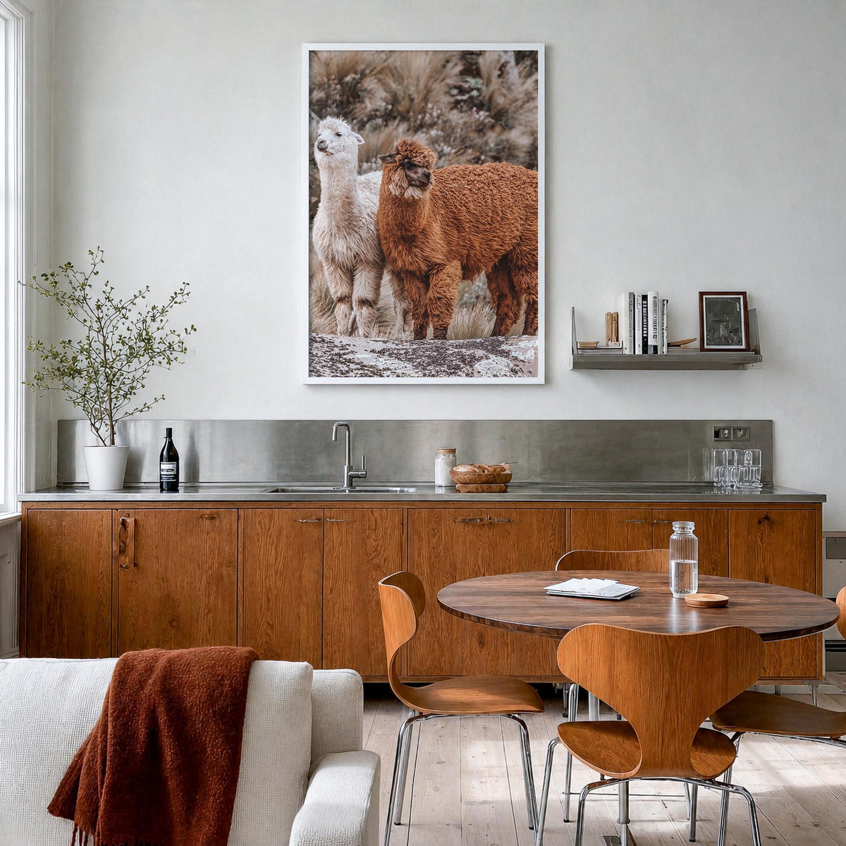 Llama colorful photo poster – vertical wall art in white wood frame, hanging on wall