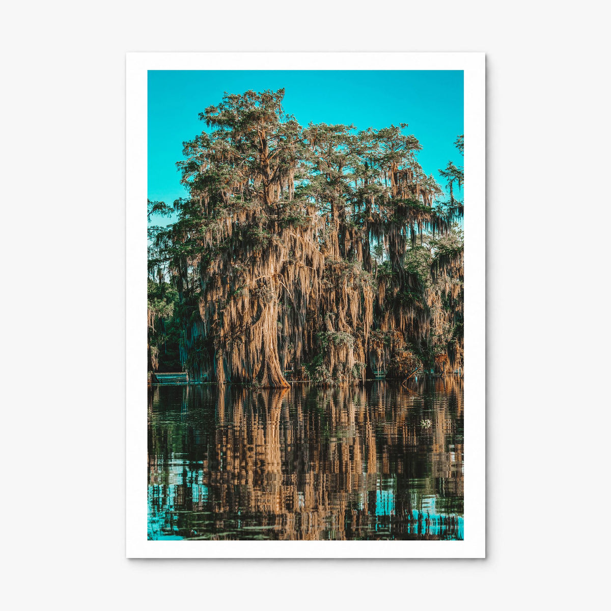 Louisiana Photo No 1 Poster, print only (unframed), white border