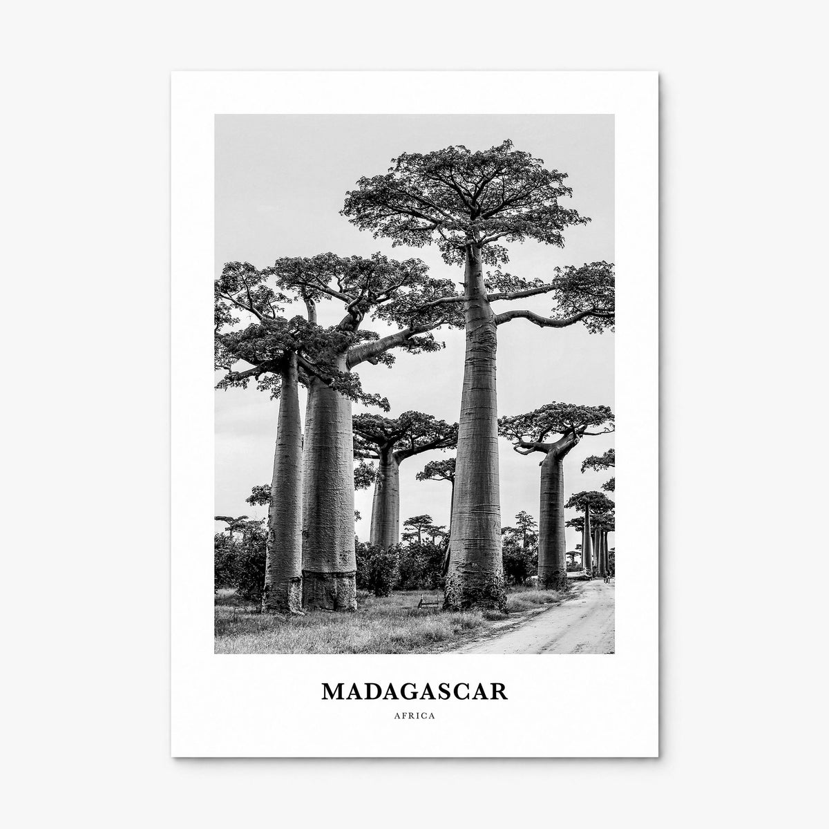 Madagascar Classic Poster, print only (unframed)