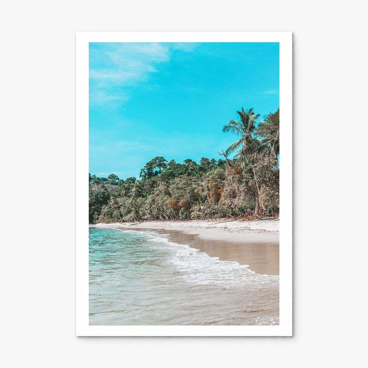 Manuel Antonio National Park Photo Poster, print only (unframed), white border