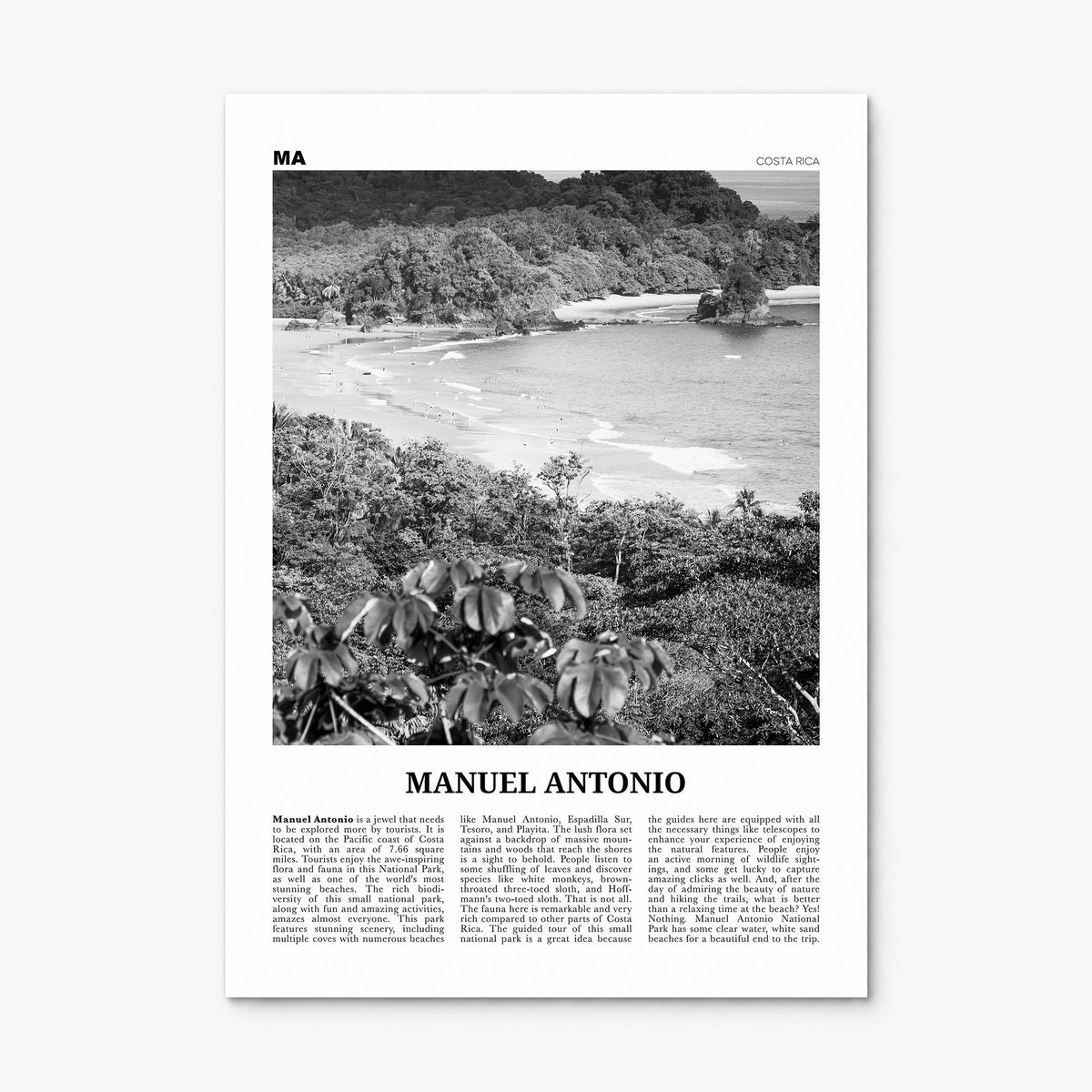Manuel Antonio National Park Newspaper Poster, print only (unframed)