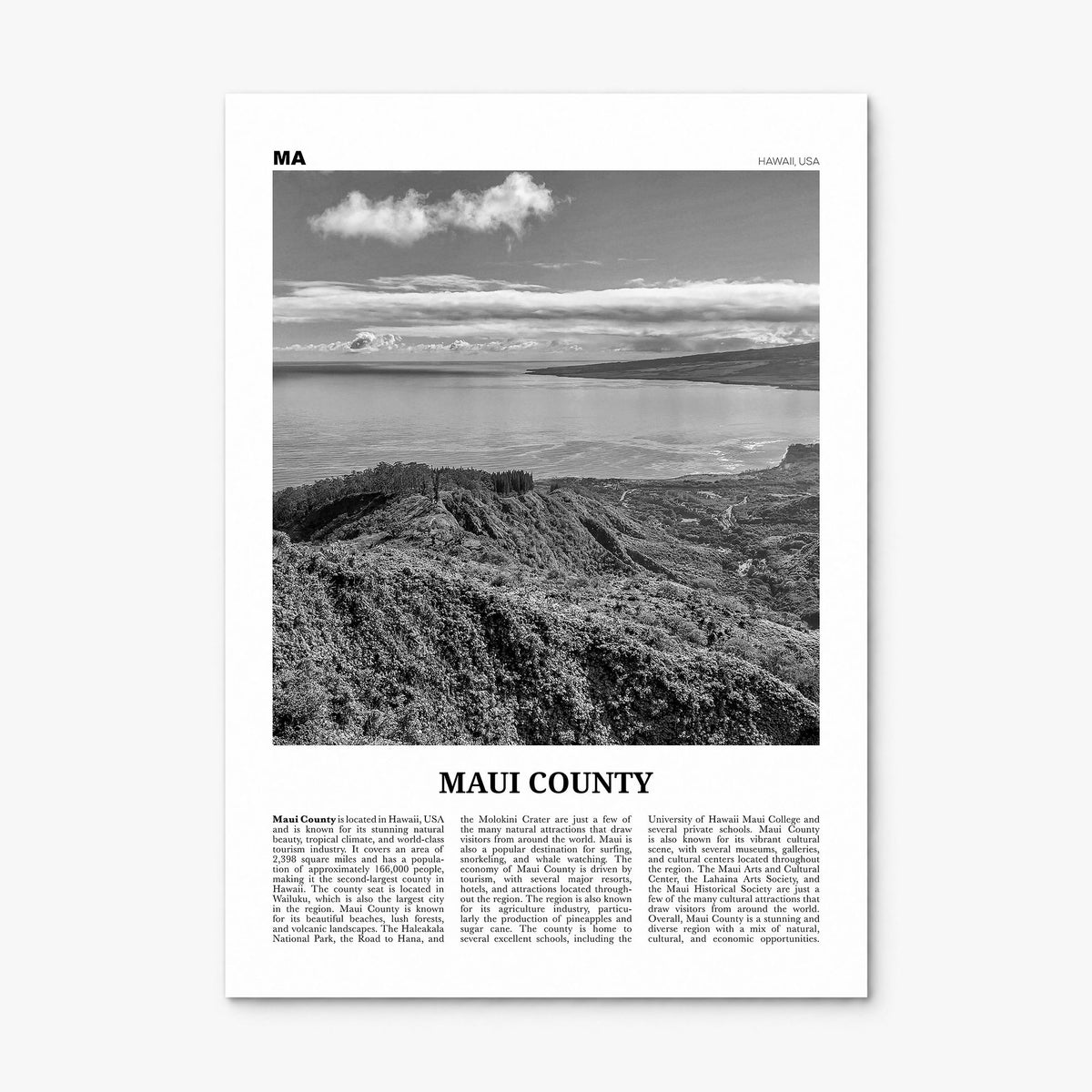 Maui County Newspaper Poster, print only (unframed)
