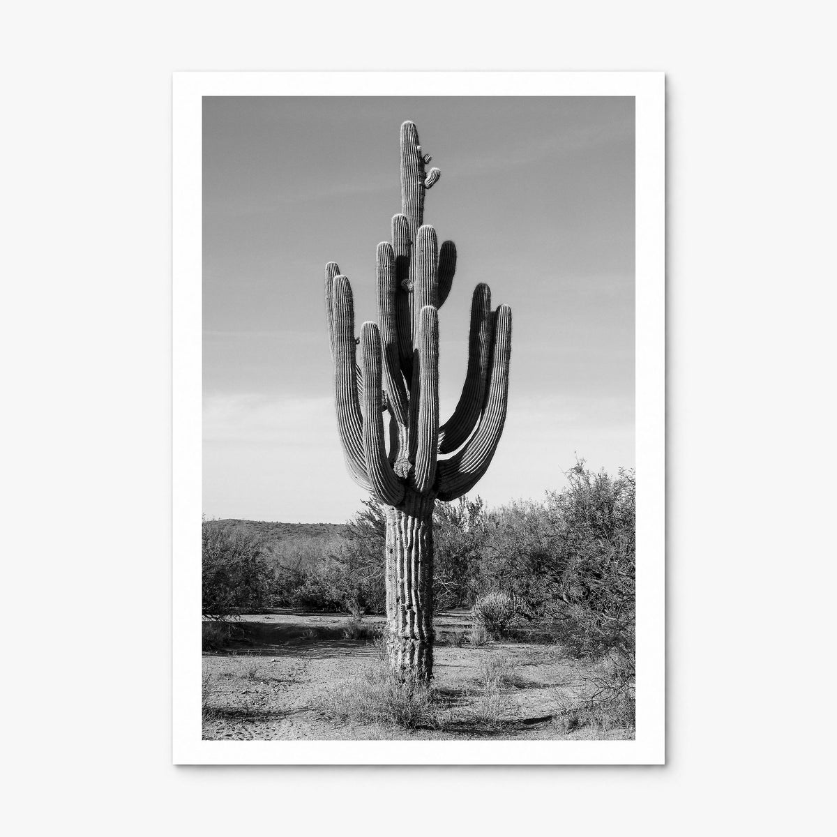 Mesa Photo No 2 Poster, print only (unframed), white border