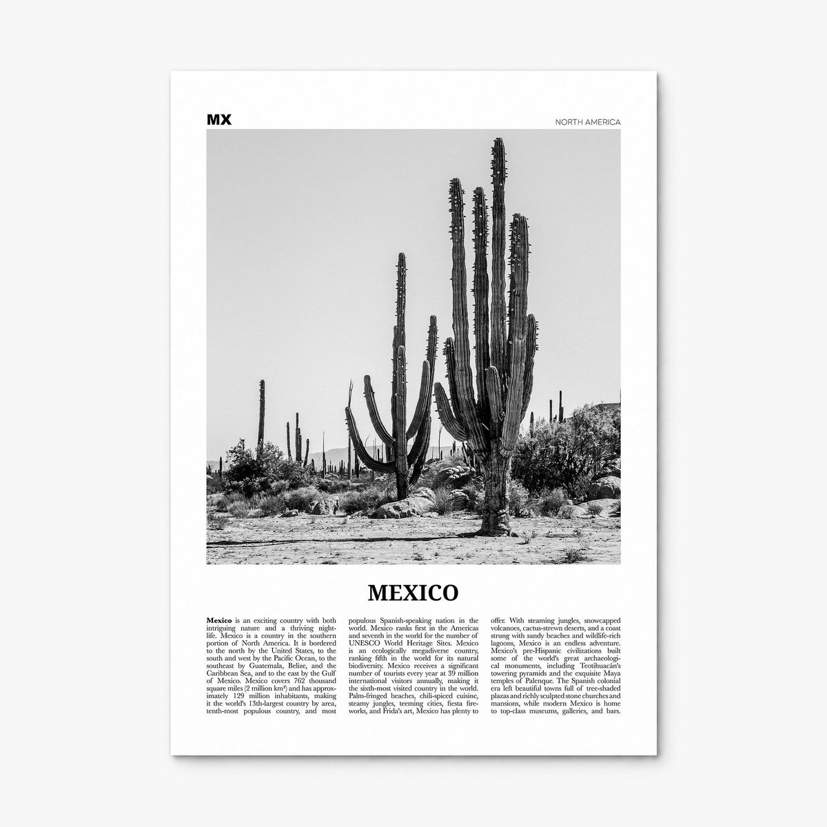 Mexico Newspaper No 1 Poster, print only (unframed)