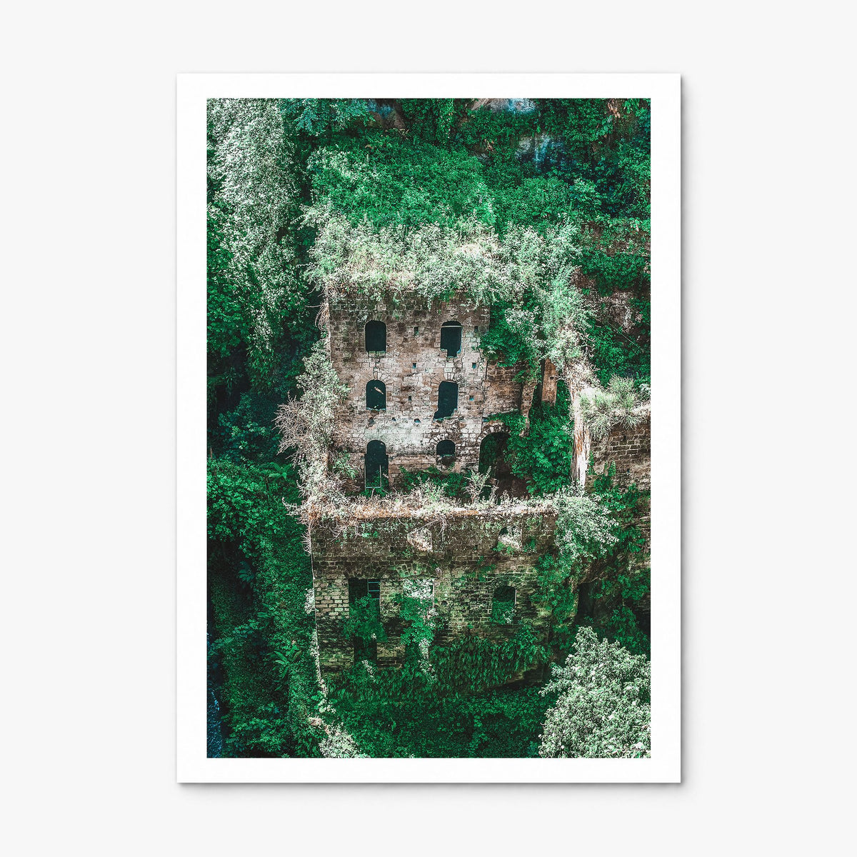 Mill Valley Photo Poster, print only (unframed), white border