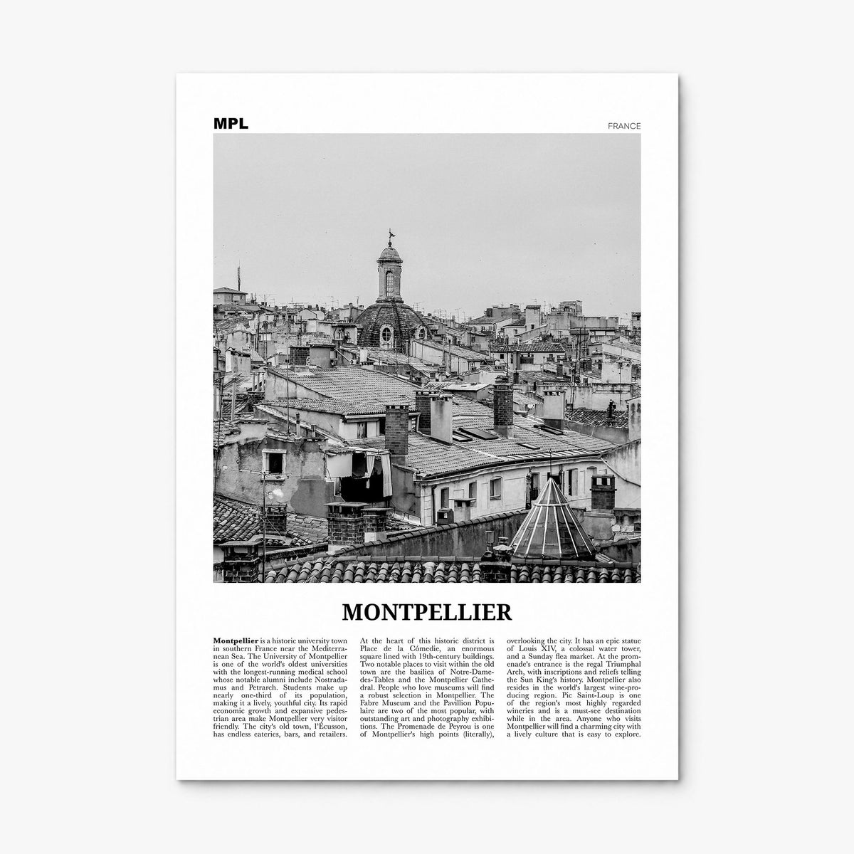 Montpellier Newspaper Poster, print only (unframed)