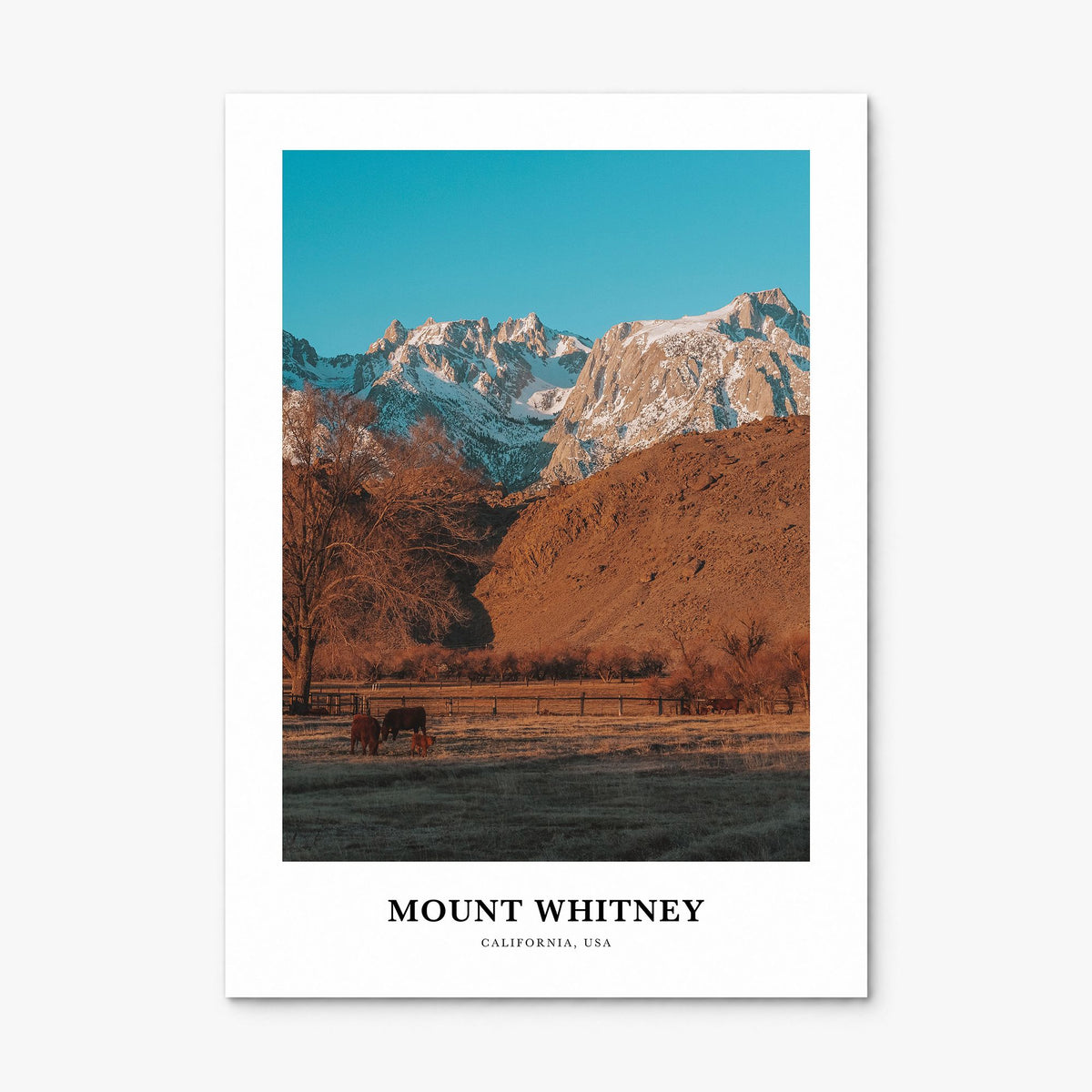 Mount Whitney Classic Poster, print only (unframed)