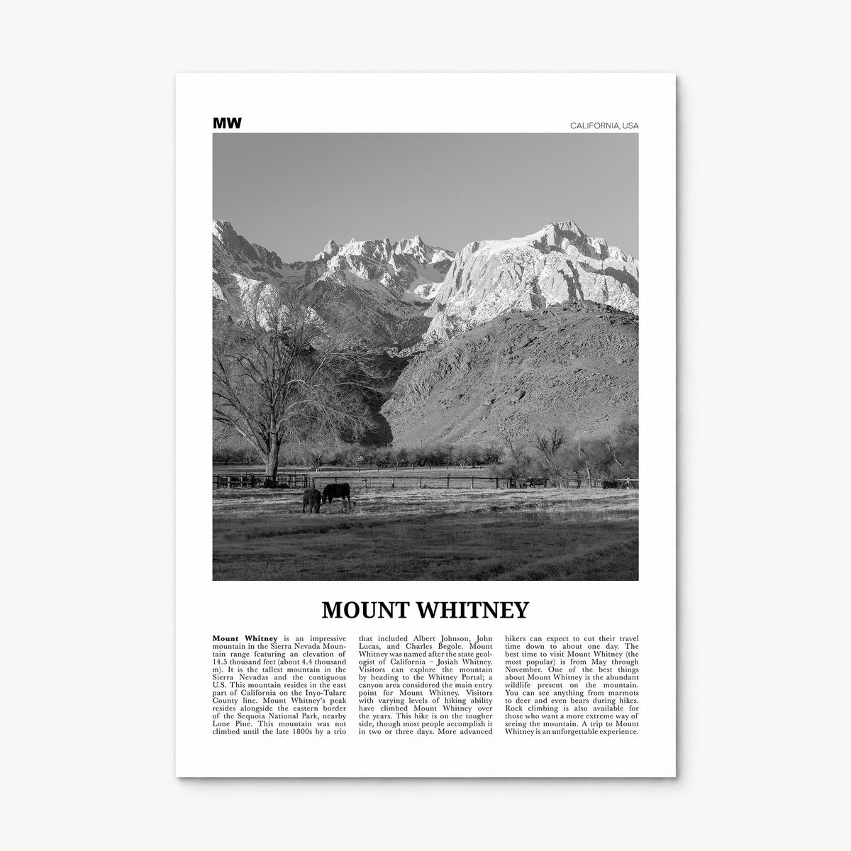 Mount Whitney Newspaper Poster, print only (unframed)